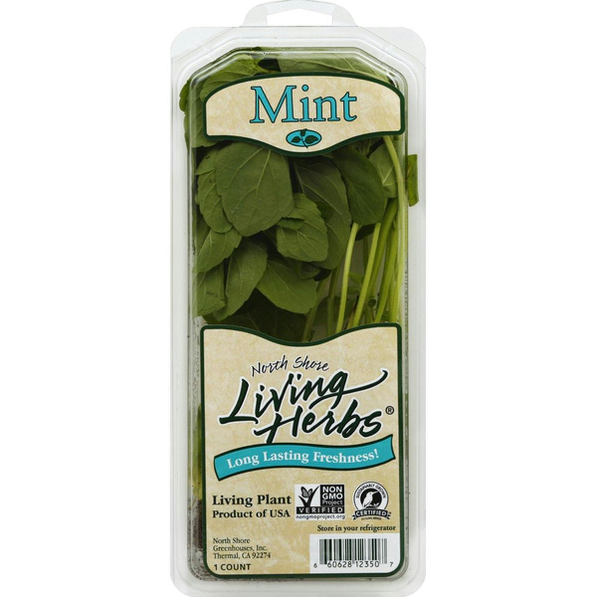 leaves fresh mint