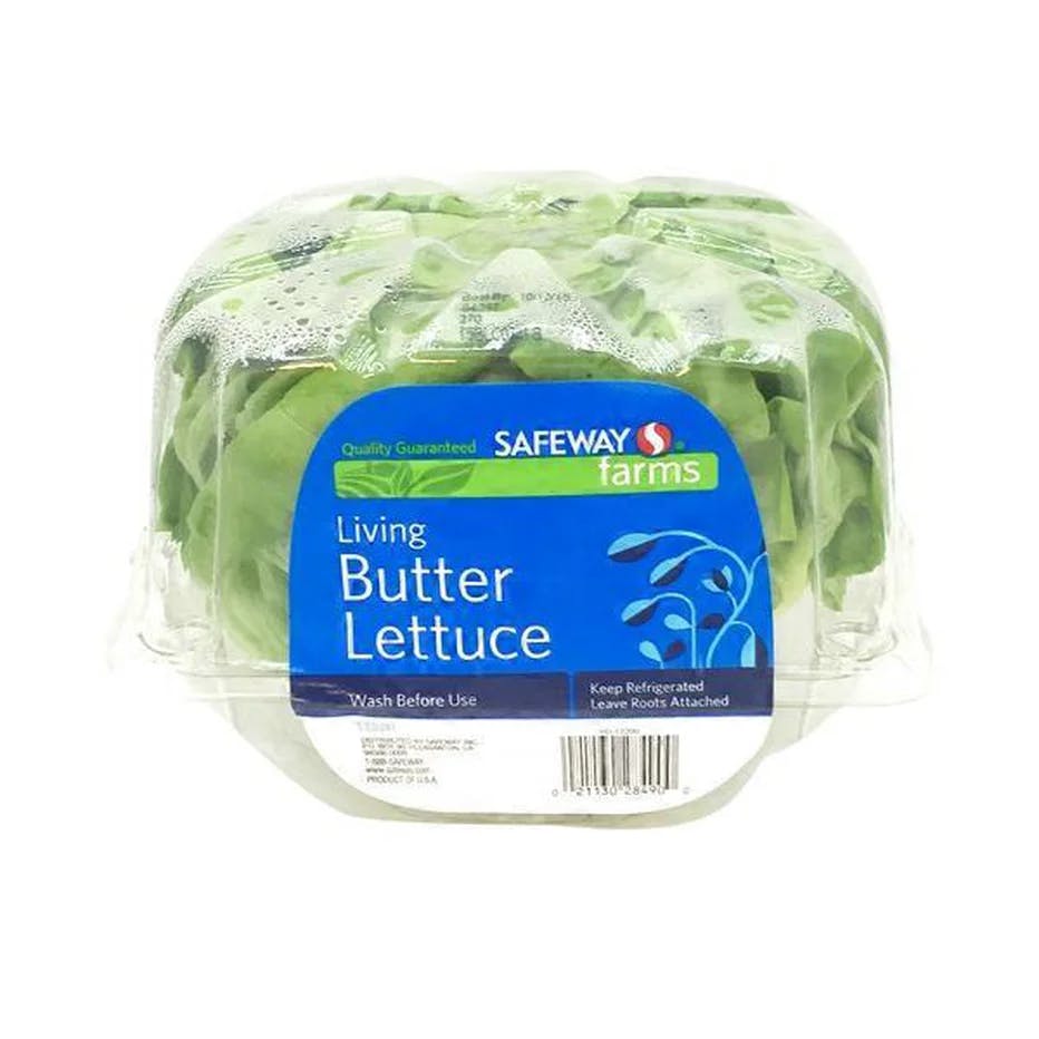 iceburg lettuce