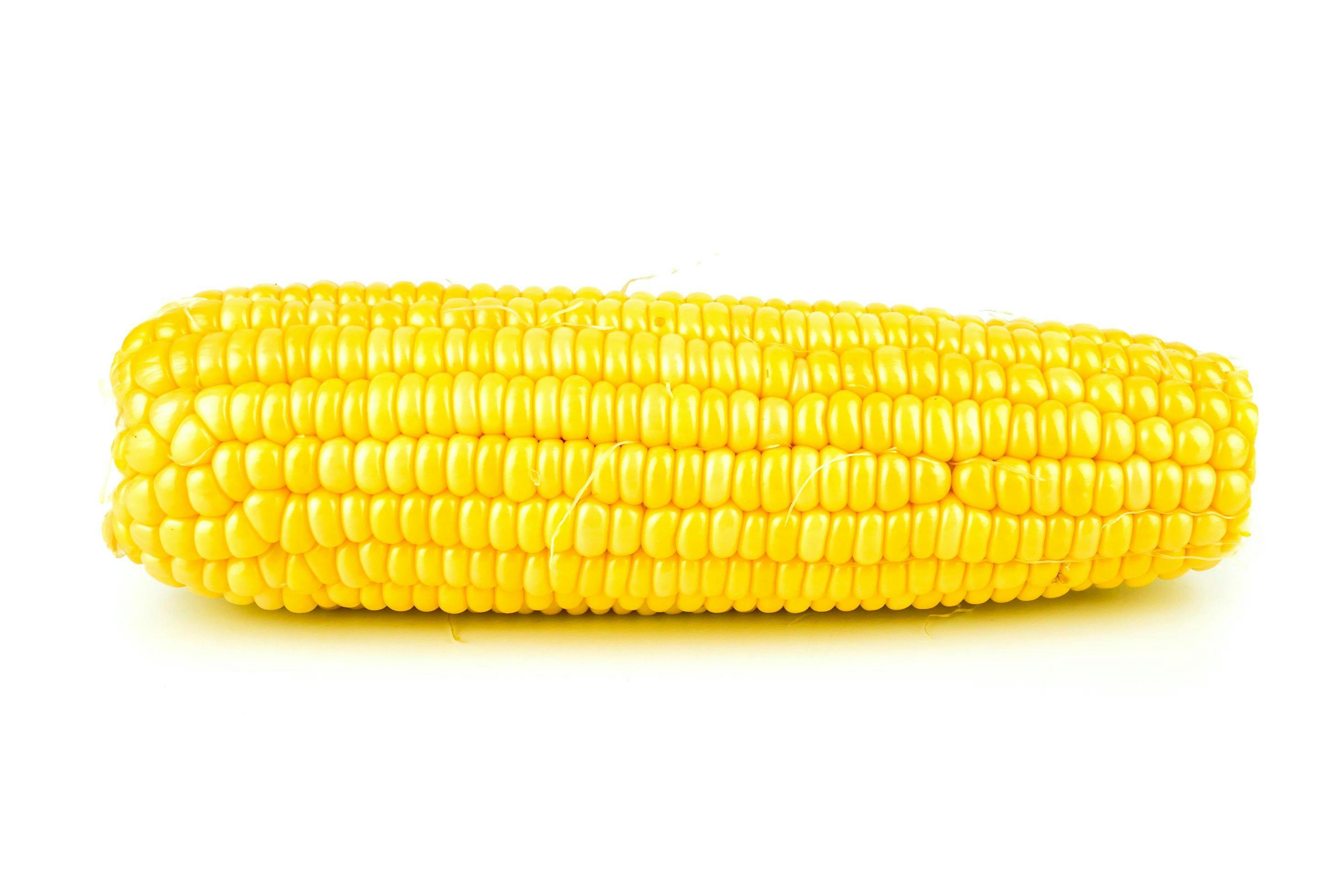 corn cob stalks 